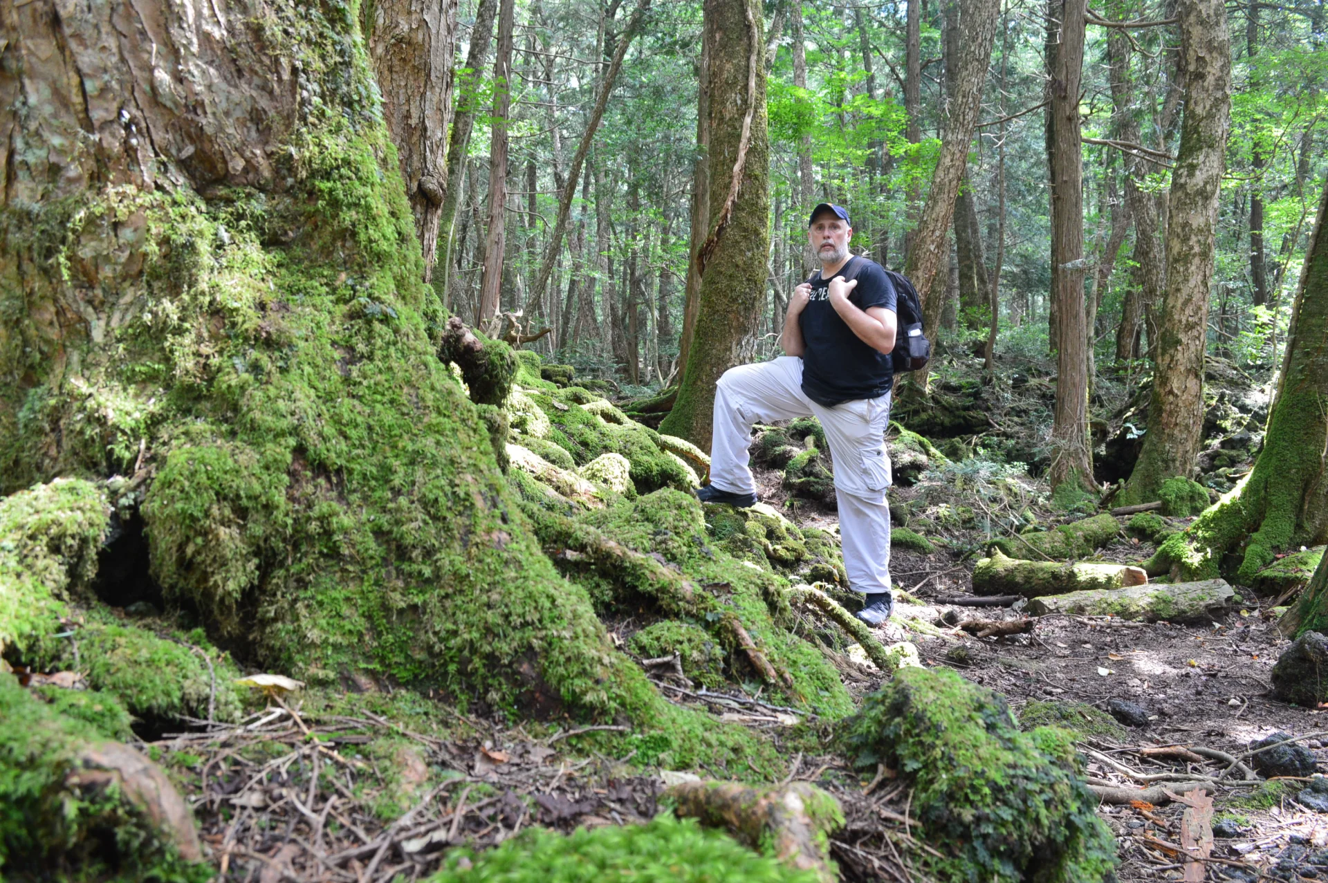 Aokigahara, bosque de los suicidios