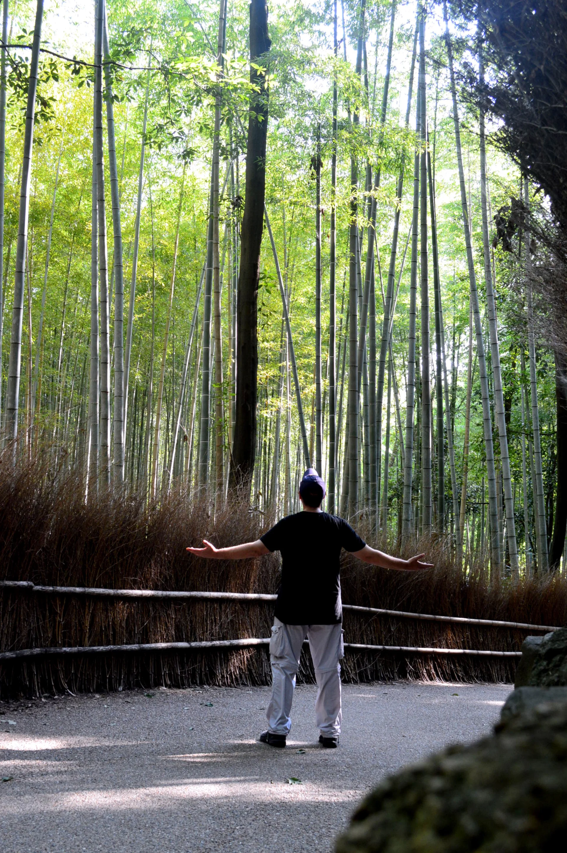 Bambusal de Arashiyama
