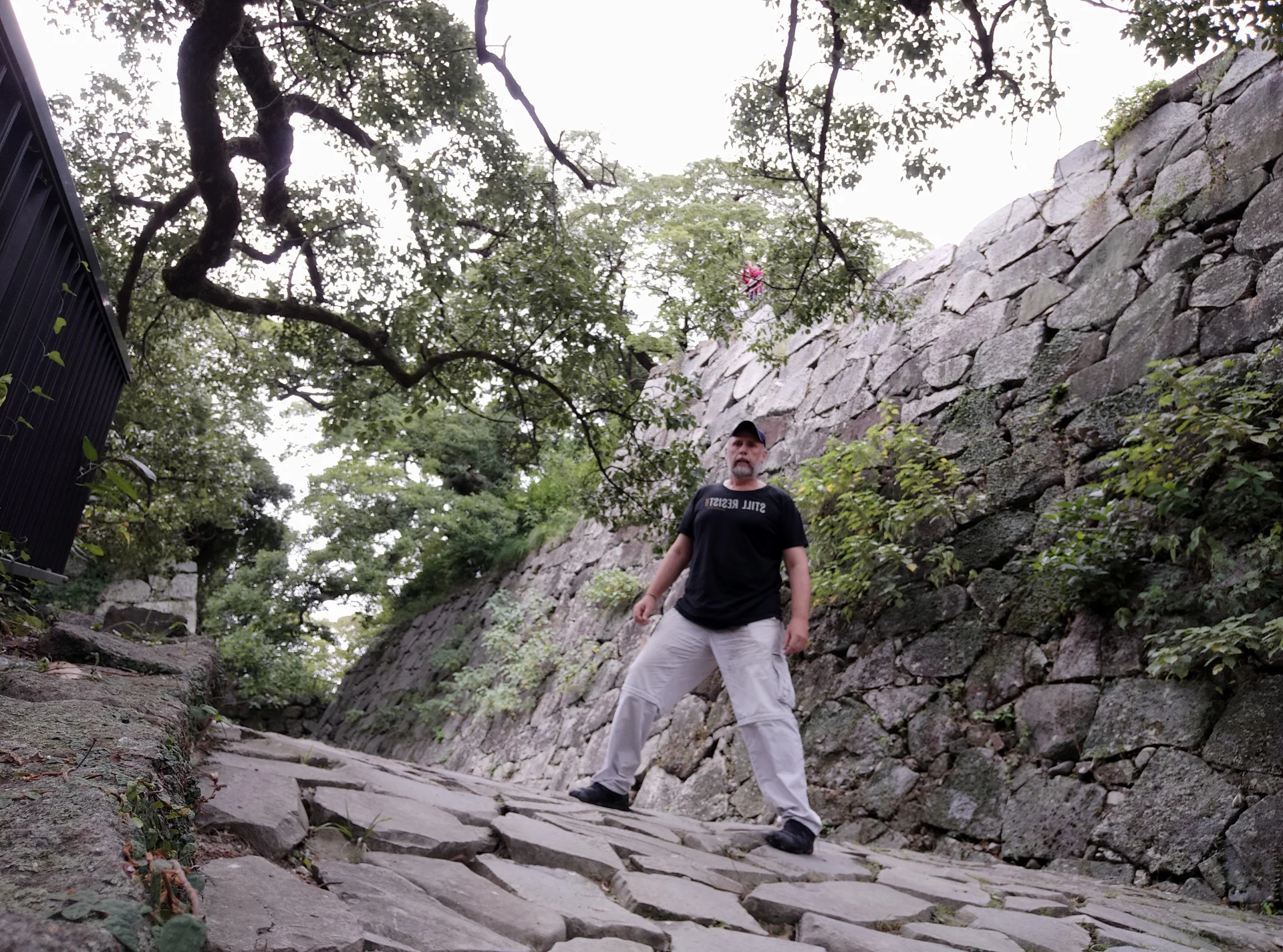 Castillo de Fukuoka